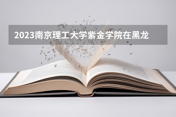 2023南京理工大学紫金学院在黑龙江高考专业招生计划人数是多少