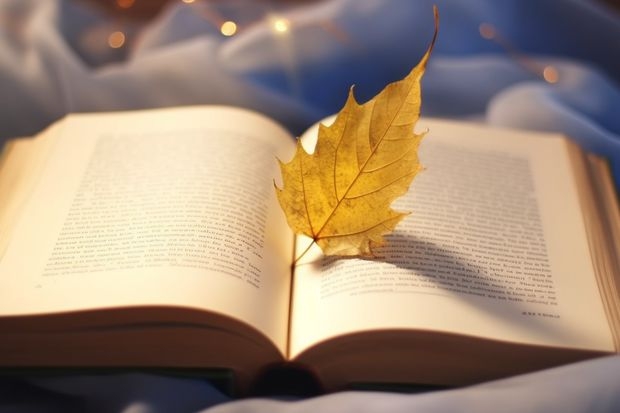 上海南湖职业技术学院口碑怎么样，上海南湖职业技术学院学校位置在哪