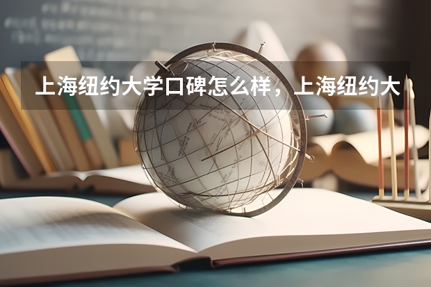 上海纽约大学口碑怎么样，上海纽约大学学校位置在哪