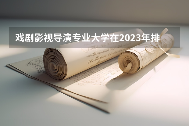 戏剧影视导演专业大学在2023年排名情况如何 戏剧影视导演专业排名前十的有哪些大学