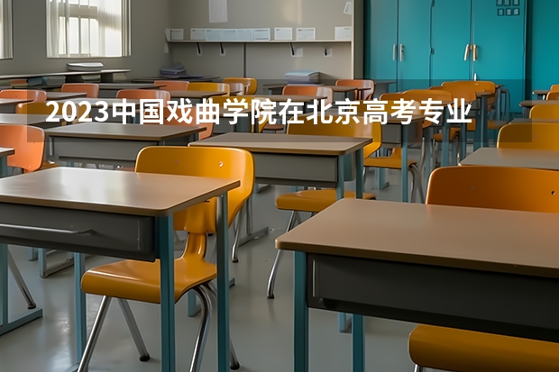 2023中国戏曲学院在北京高考专业招生计划人数是多少
