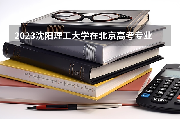 2023沈阳理工大学在北京高考专业招生计划人数是多少