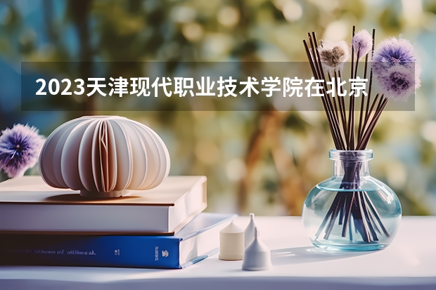 2023天津现代职业技术学院在北京高考专业招生计划人数是多少