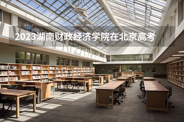 2023湖南财政经济学院在北京高考专业招生计划人数是多少