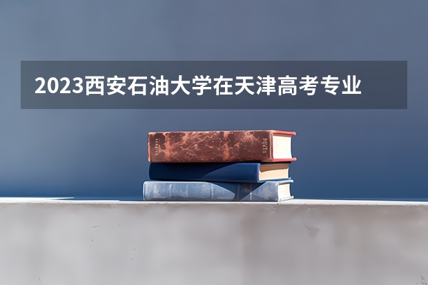 2023西安石油大学在天津高考专业招生计划人数是多少