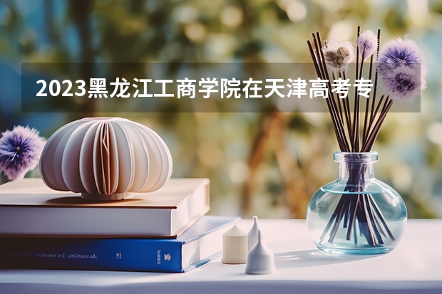 2023黑龙江工商学院在天津高考专业招生计划人数是多少