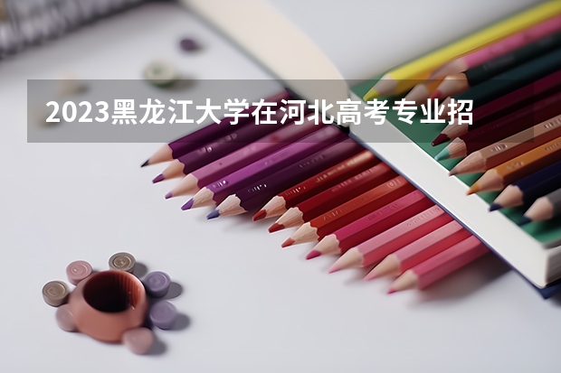 2023黑龙江大学在河北高考专业招生计划人数是多少
