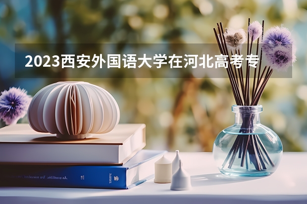 2023西安外国语大学在河北高考专业招生计划人数是多少