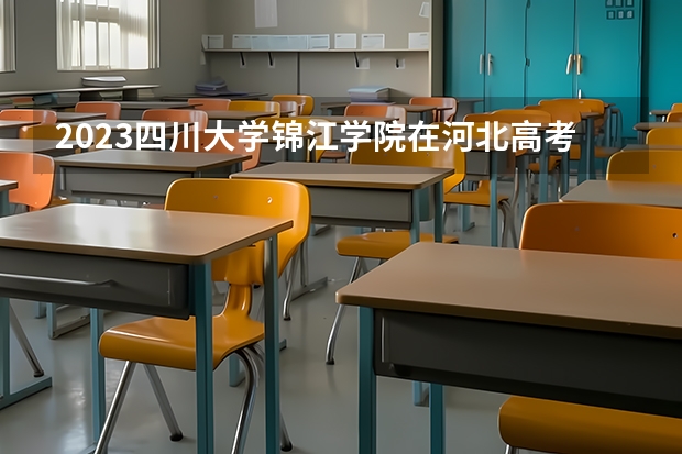 2023四川大学锦江学院在河北高考专业招生计划人数是多少