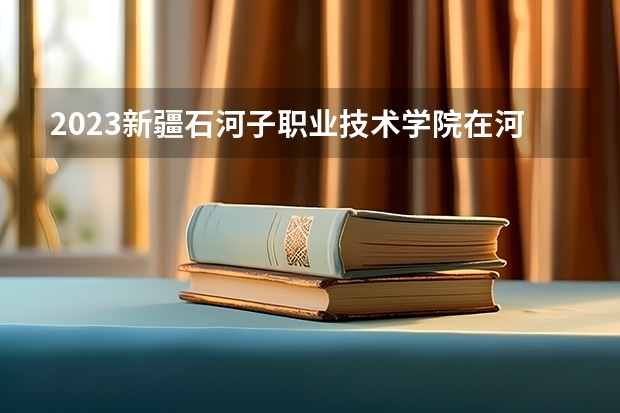 2023新疆石河子职业技术学院在河北高考专业招生计划人数是多少