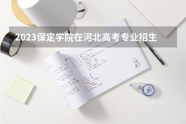 2023保定学院在河北高考专业招生计划人数是多少