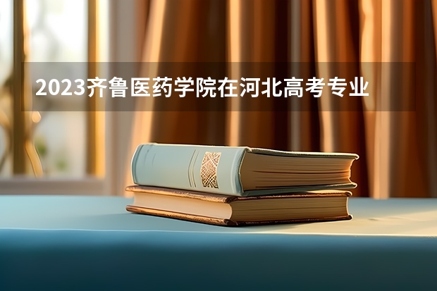 2023齐鲁医药学院在河北高考专业招生计划人数是多少