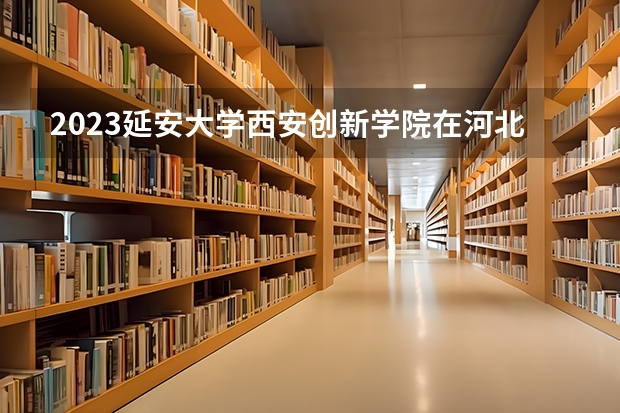 2023延安大学西安创新学院在河北高考专业招生计划人数是多少