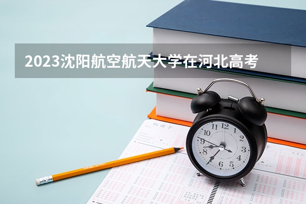 2023沈阳航空航天大学在河北高考专业招生计划人数是多少