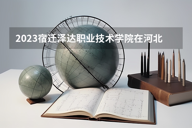 2023宿迁泽达职业技术学院在河北高考专业招生计划人数是多少