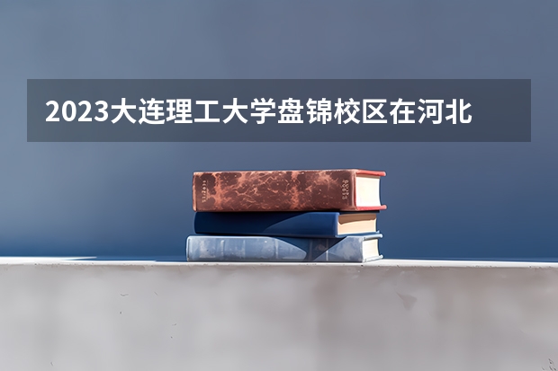 2023大连理工大学盘锦校区在河北高考专业招生计划人数是多少