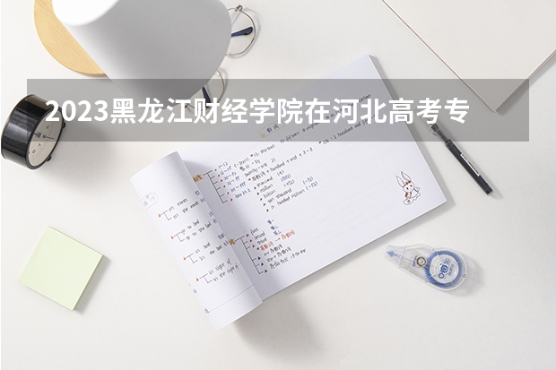 2023黑龙江财经学院在河北高考专业招生计划人数是多少