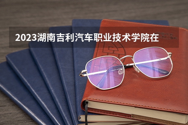 2023湖南吉利汽车职业技术学院在河北高考专业招生计划人数是多少