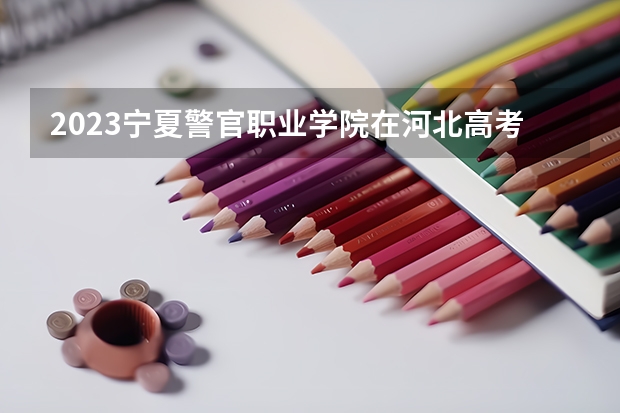 2023宁夏警官职业学院在河北高考专业招生计划人数是多少
