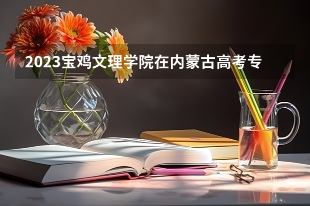 2023宝鸡文理学院在内蒙古高考专业招生计划人数是多少
