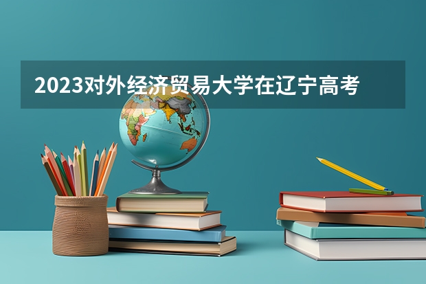 2023对外经济贸易大学在辽宁高考专业招生计划人数是多少