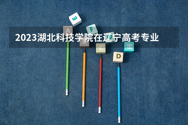 2023湖北科技学院在辽宁高考专业招生计划人数是多少