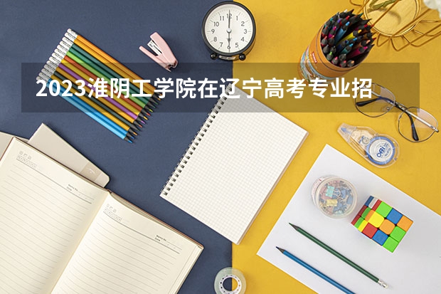 2023淮阴工学院在辽宁高考专业招生计划人数是多少