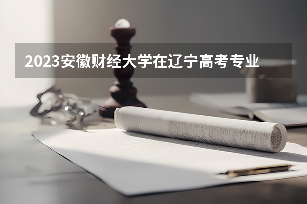 2023安徽财经大学在辽宁高考专业招生计划人数是多少