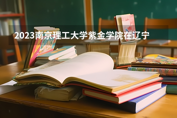 2023南京理工大学紫金学院在辽宁高考专业招生计划人数是多少