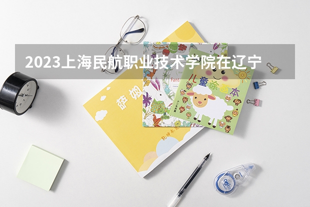 2023上海民航职业技术学院在辽宁高考专业招生计划人数是多少