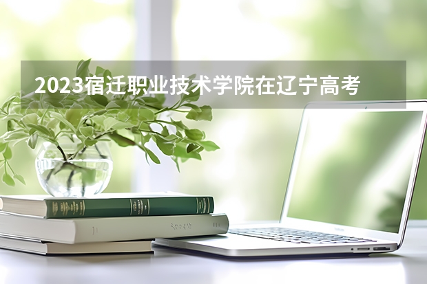 2023宿迁职业技术学院在辽宁高考专业招生计划人数是多少