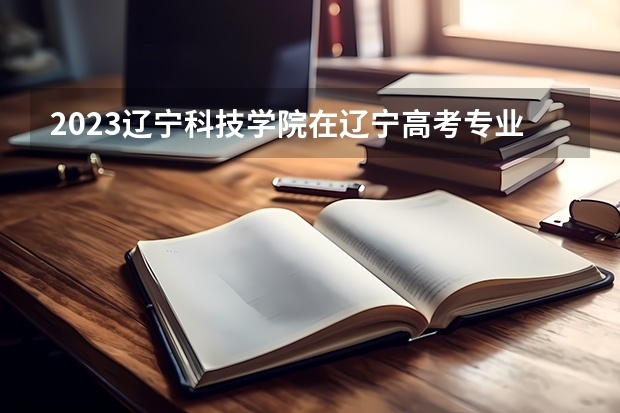2023辽宁科技学院在辽宁高考专业招生计划人数是多少