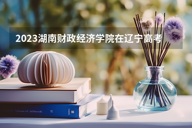 2023湖南财政经济学院在辽宁高考专业招生计划人数是多少