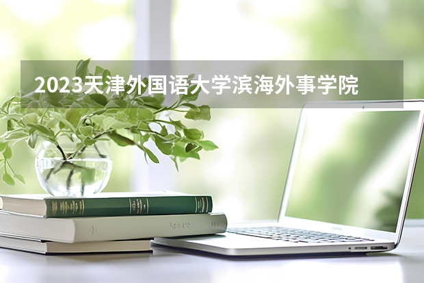 2023天津外国语大学滨海外事学院在辽宁高考专业招生计划人数是多少