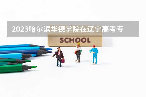 2023哈尔滨华德学院在辽宁高考专业招生计划人数是多少