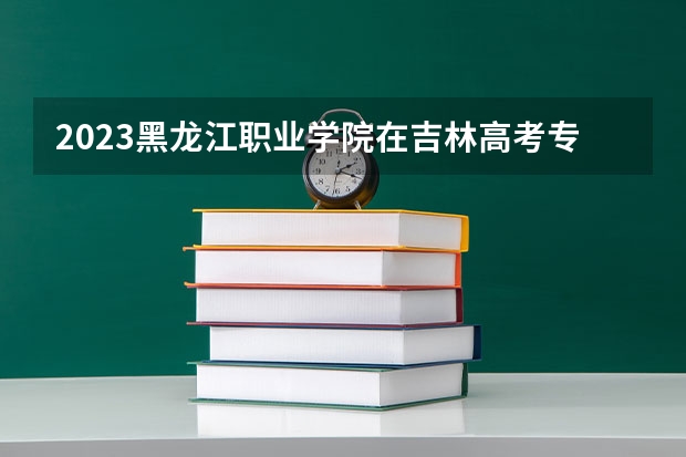 2023黑龙江职业学院在吉林高考专业招生计划人数是多少