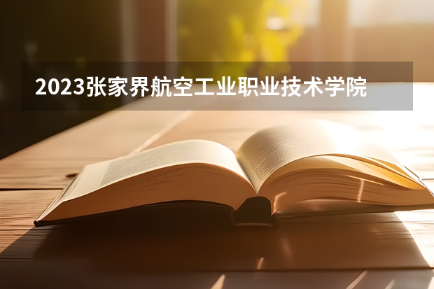 2023张家界航空工业职业技术学院在吉林高考专业招生计划人数是多少