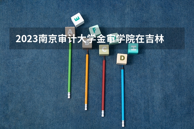 2023南京审计大学金审学院在吉林高考专业招生计划人数是多少