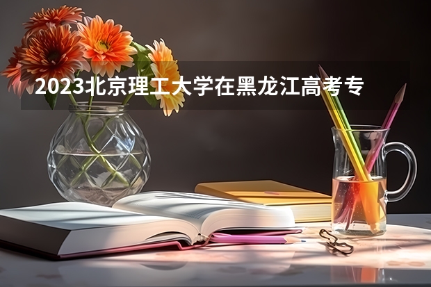 2023北京理工大学在黑龙江高考专业招生计划人数是多少