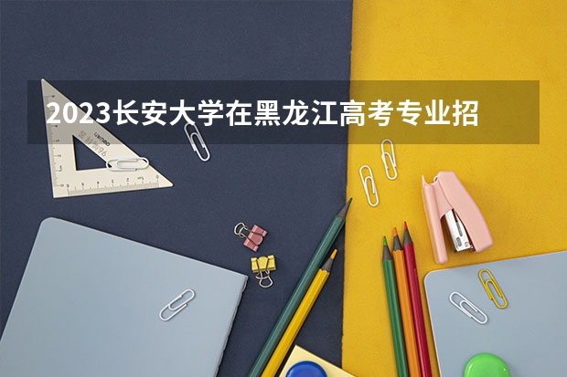 2023长安大学在黑龙江高考专业招生计划人数是多少