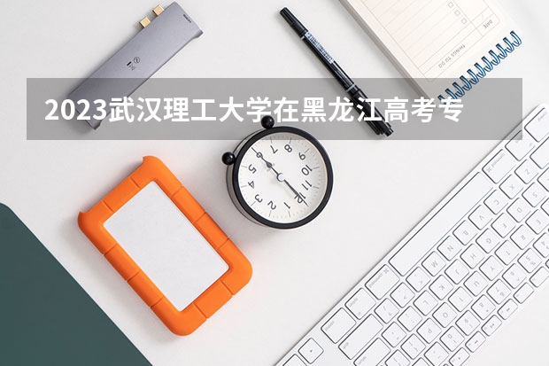 2023武汉理工大学在黑龙江高考专业招生计划人数是多少