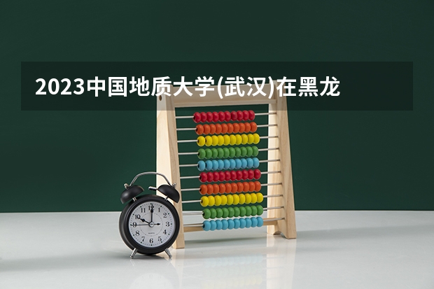 2023中国地质大学(武汉)在黑龙江高考专业招生计划人数是多少