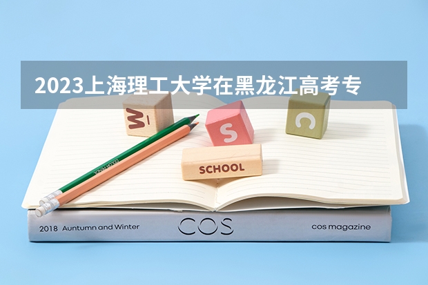 2023上海理工大学在黑龙江高考专业招生计划人数是多少