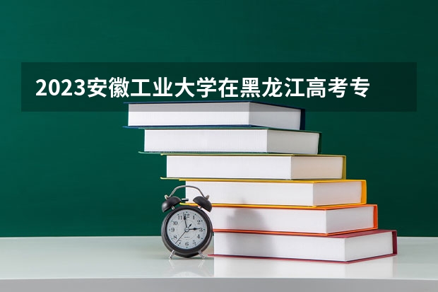 2023安徽工业大学在黑龙江高考专业招生计划人数是多少