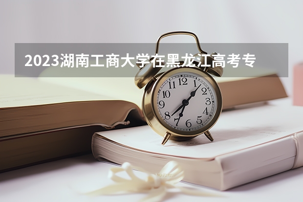 2023湖南工商大学在黑龙江高考专业招生计划人数是多少