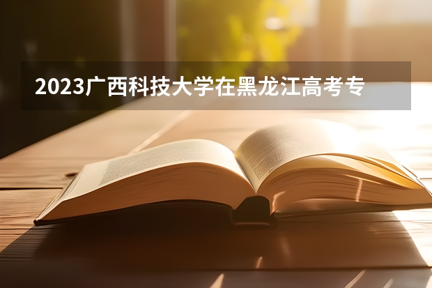 2023广西科技大学在黑龙江高考专业招生计划人数是多少