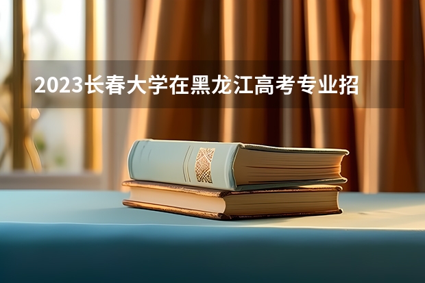 2023长春大学在黑龙江高考专业招生计划人数是多少
