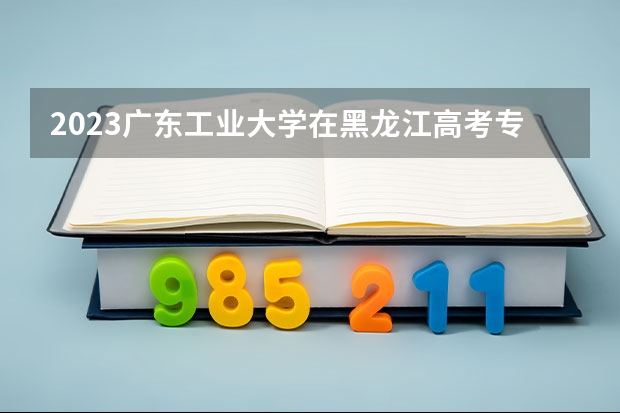 2023广东工业大学在黑龙江高考专业招生计划人数是多少