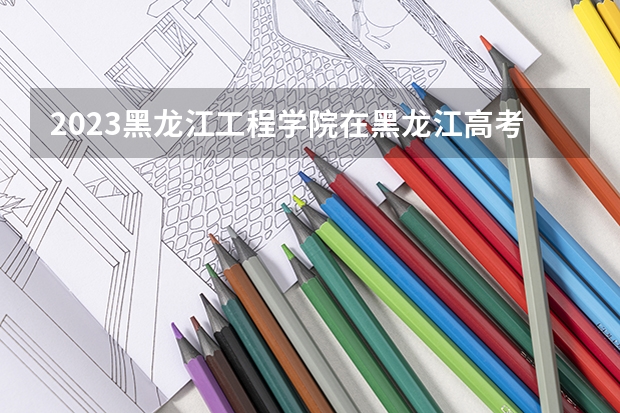 2023黑龙江工程学院在黑龙江高考专业招生计划人数是多少