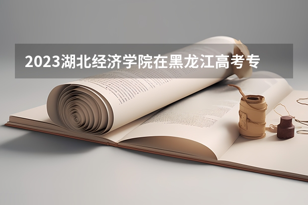 2023湖北经济学院在黑龙江高考专业招生计划人数是多少